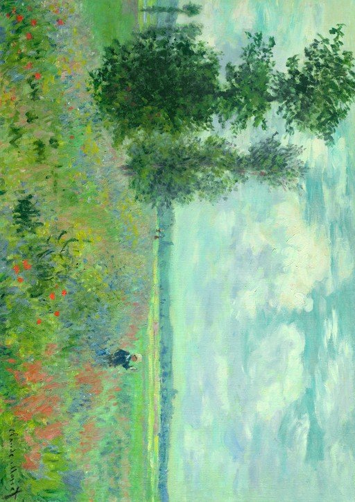 Poppy Field with a Woman