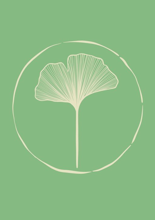 Minimalist Ginkgo Leaf Illustration in Circle