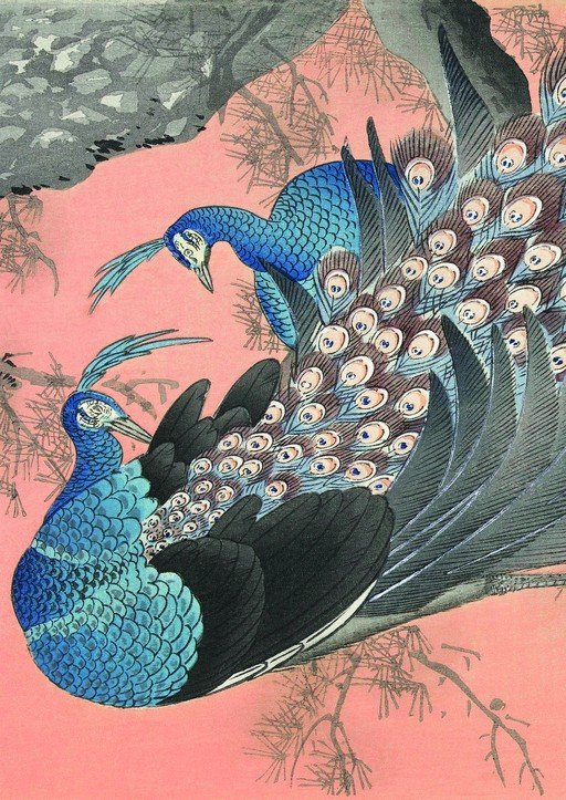 Two Peacocks on a Pink Background with Pine Branches