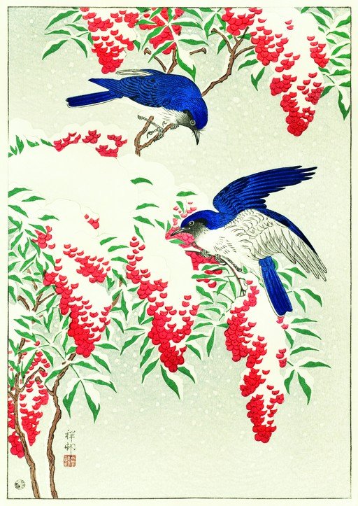 Two Blue Birds on Snowy Branches with Red Berries