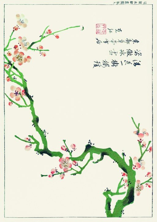 Japanese Plum Blossoms with Calligraphy