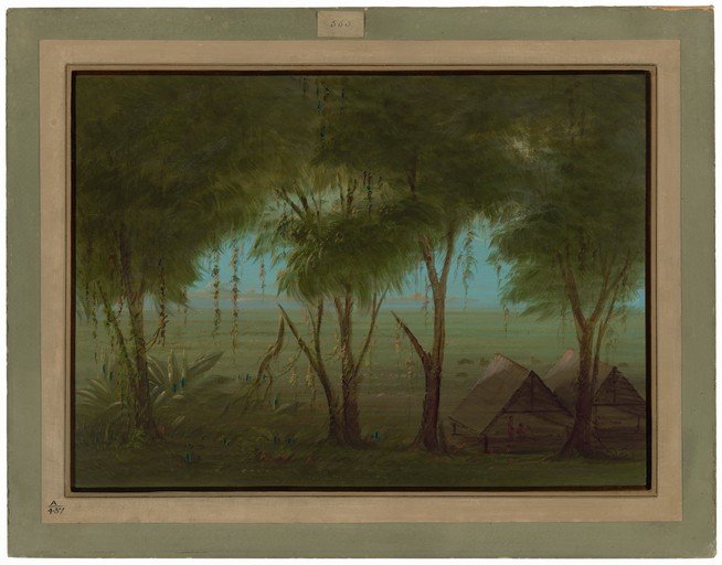 Tropical Village Scene with Lush Vegetation