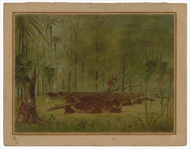Hunters and Wild Boars in a Lush Forest