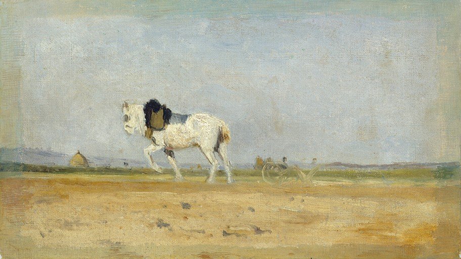 Horse Plowing Field