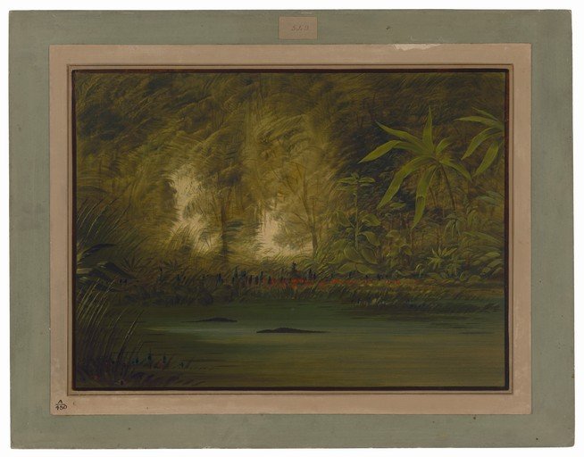 Jungle Scene with Alligators in Water