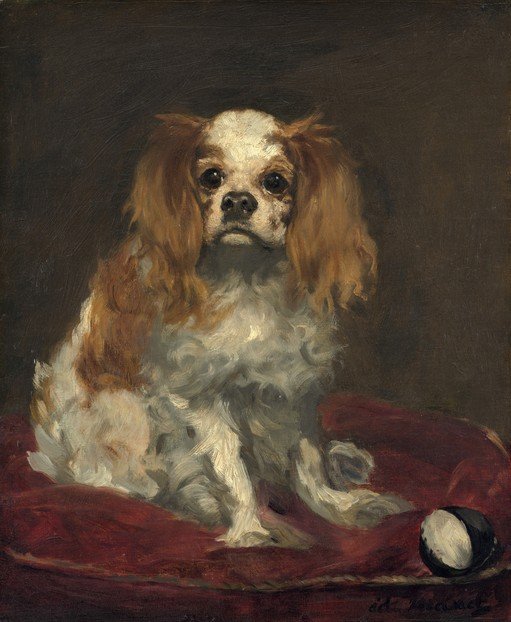 Portrait of a Cavalier King Charles Spaniel on a Red Cushion
