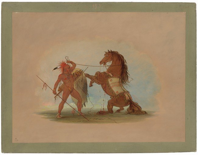 Native American Man Taming a Rearing Horse