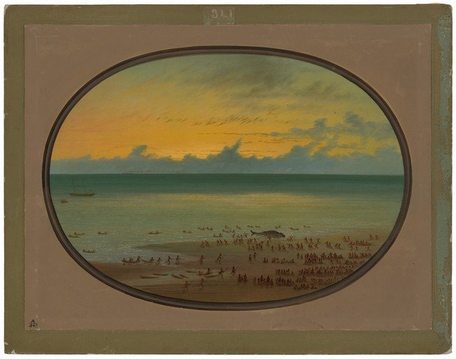 Whale Stranding Scene at Sunset