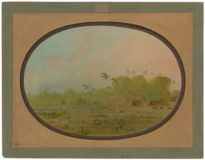 Tropical Village Scene with Lush Vegetation and Waterway