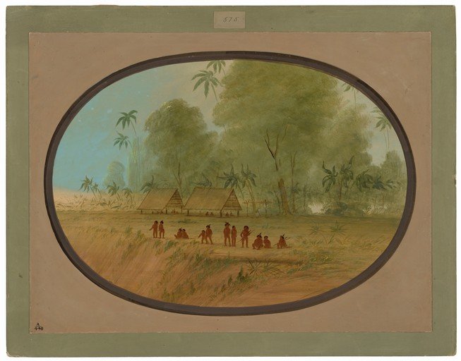 Indigenous Village Scene with Palm Trees and Huts