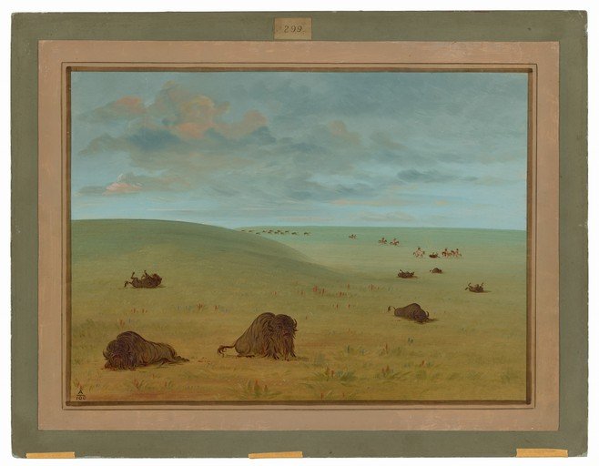 Bison and Native Americans on the Plains