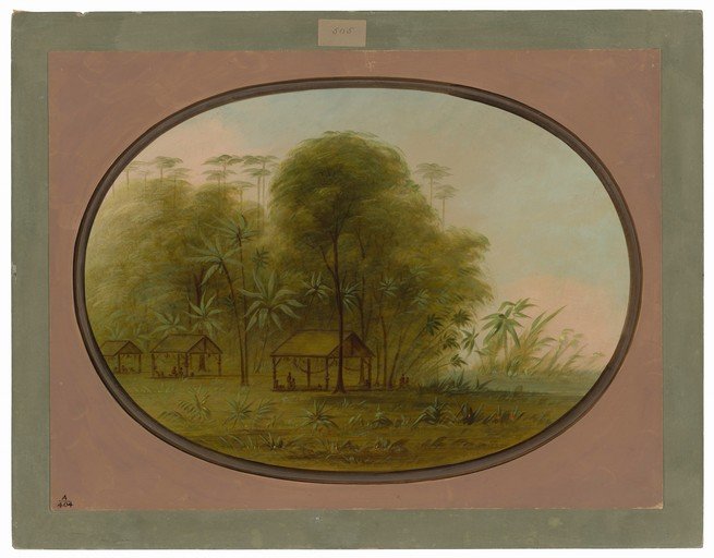 Tropical Village Scene with Lush Vegetation