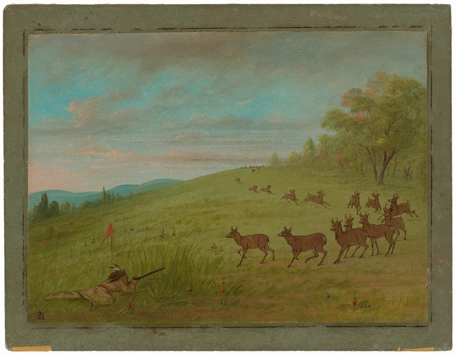Native American Hunter Pursues Herd of Deer Across Grassy Plains