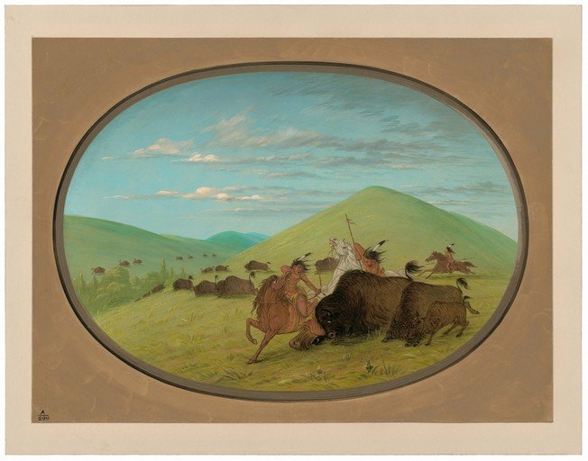 Native American Buffalo Hunt