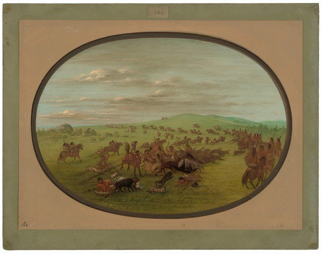 Native American Buffalo Hunt Scene