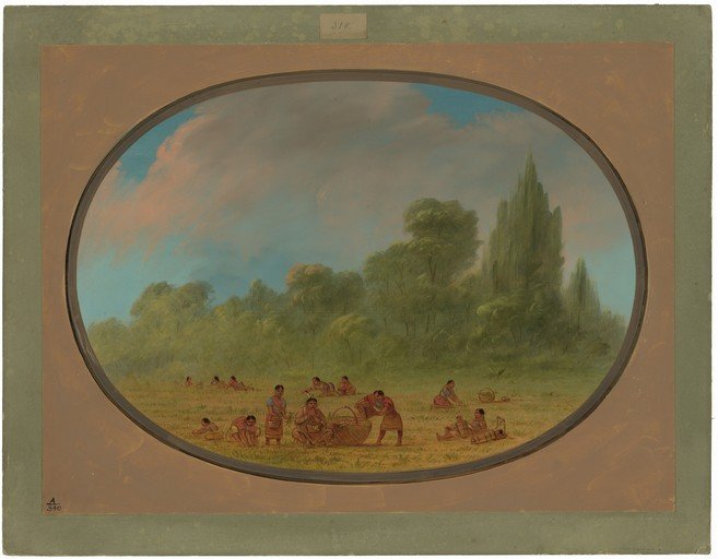Indigenous People Gathering in a Lush Landscape