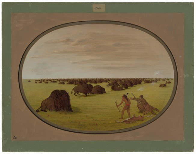 Native American Buffalo Hunt Scene