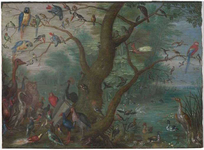 A Gathering of Birds in a Lush Natural Setting