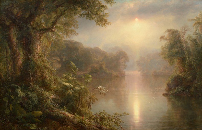 Lush Jungle River at Sunrise
