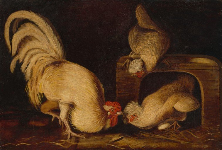 Rooster and Hens in a Coop with Eggs