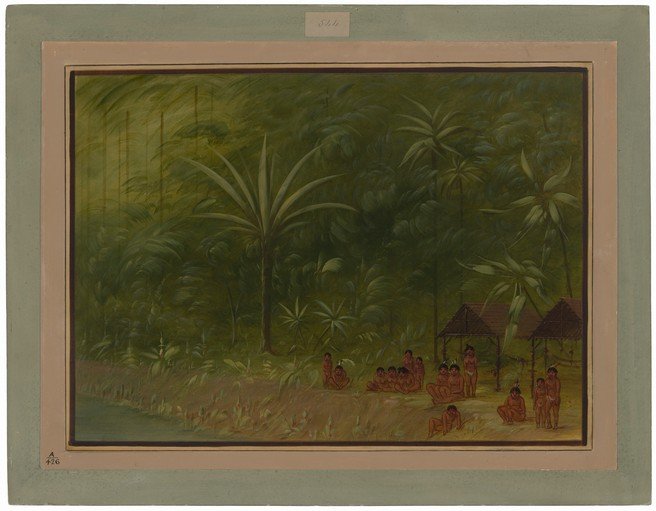 Indigenous Village Scene in Lush Tropical Forest