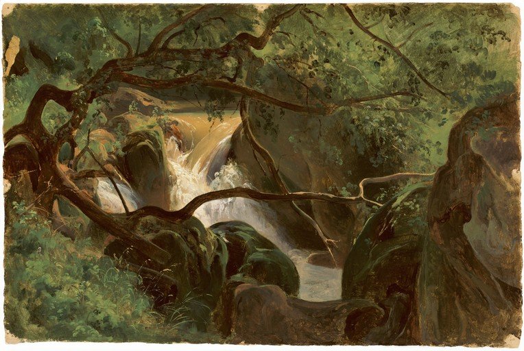 Lush Forest Waterfall with Gnarled Branches
