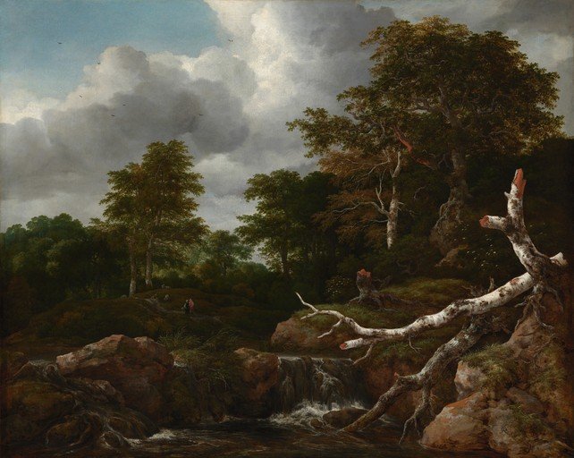 Dramatic Landscape with Waterfall and Fallen Tree