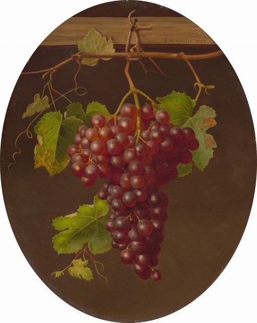 Still Life of Red Grapes with Leaves