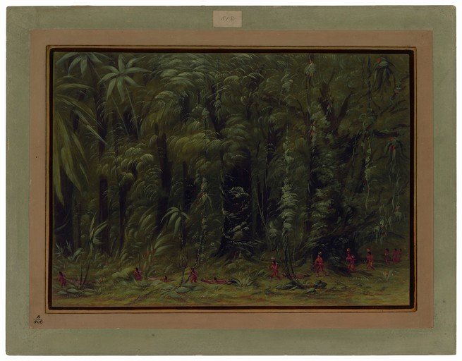 Tropical Jungle Scene with Indigenous People