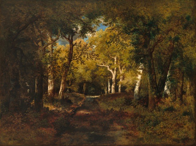 Forest Path Bathed in Golden Sunlight