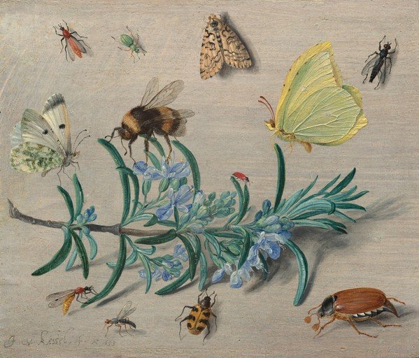 Still Life with Insects and Rosemary