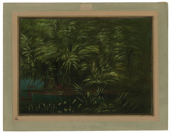Tropical Jungle Scene with Indigenous People in Canoes