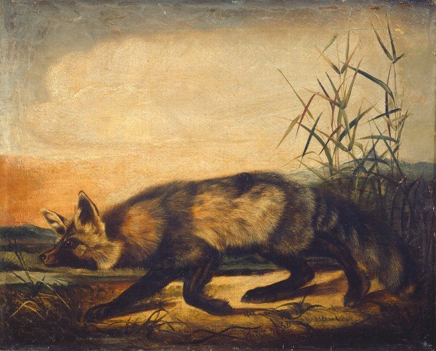 Painting of a Fox in a Natural Landscape