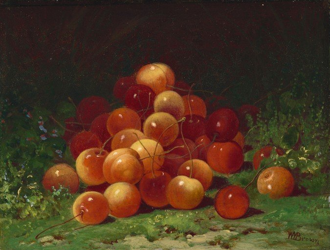 Still Life of Cherries