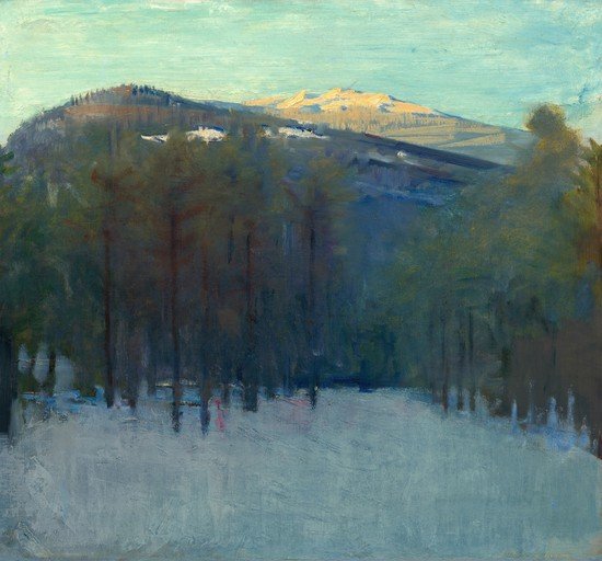 Winter Mountain Landscape with Forest and Snow