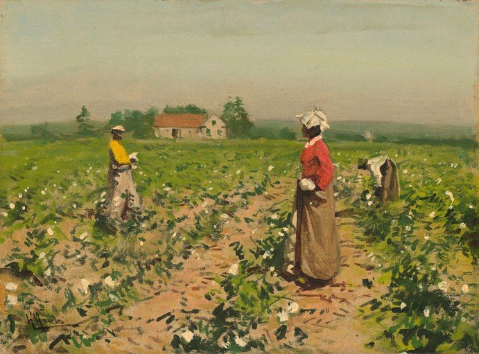 Cotton Pickers in a Field