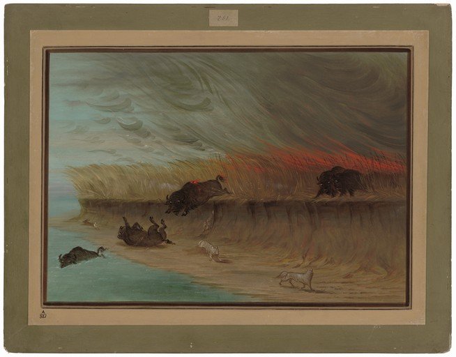 Bison Fleeing a Prairie Fire