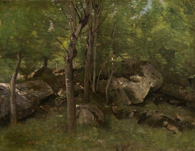 Forest Scene with Rocks and Trees