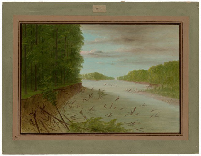 River scene with forest and debris