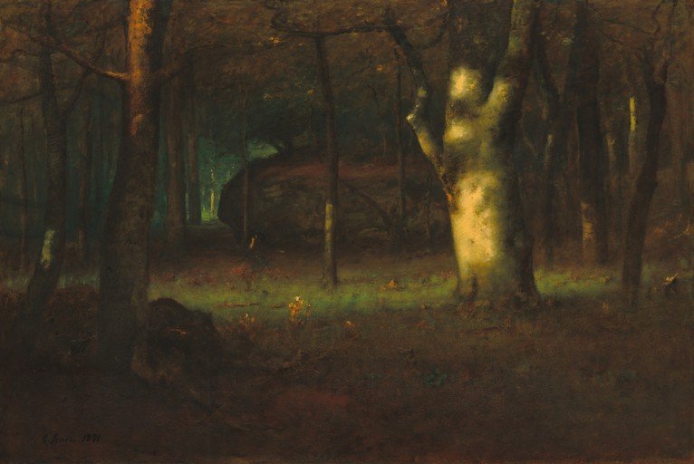Mysterious Forest Scene with Dramatic Light