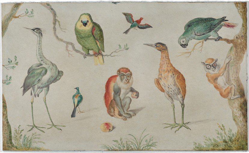 Vintage Painting of Exotic Birds and Monkeys