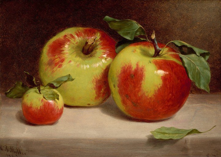 Still Life of Three Apples with Leaves