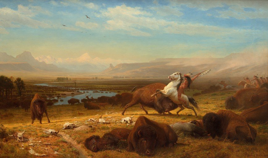 Buffalo Hunt