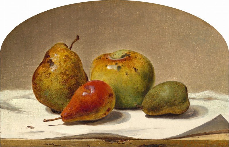 Still Life with Fruit and Fly