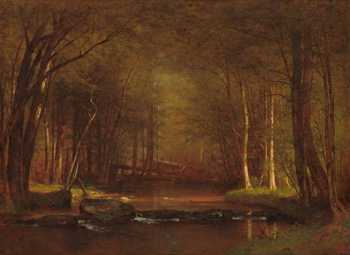 Tranquil Forest Stream with Sunlight
