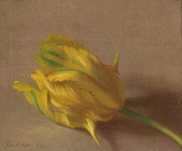 Yellow Tulip Painting