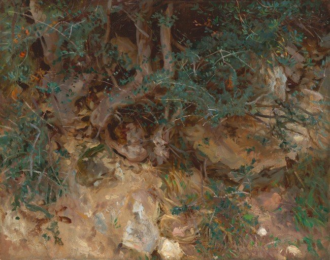 Impressionist Landscape of Rocky Terrain with Overgrown Vegetation