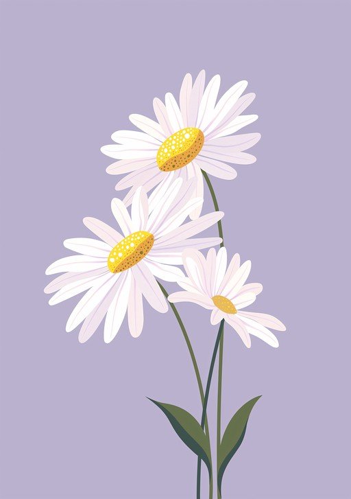 Delicate Daisies on Lavender Background