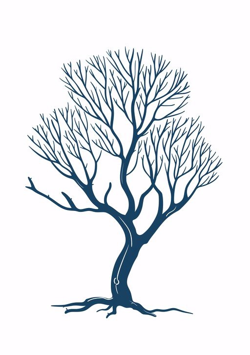 Bare Tree Silhouette