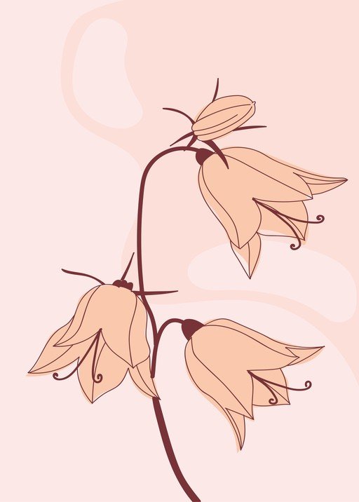 Minimalist Bellflower Illustration